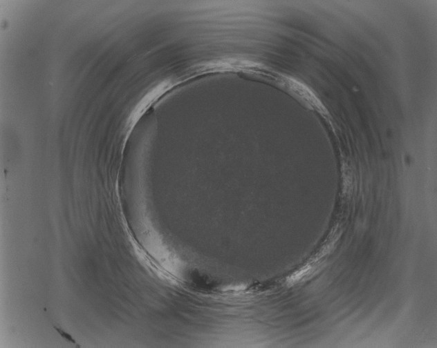 X0000068810946200605121247