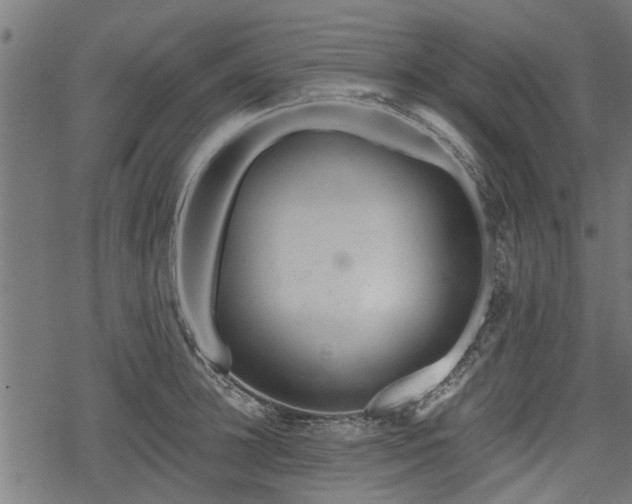 X0000068810948200605121247