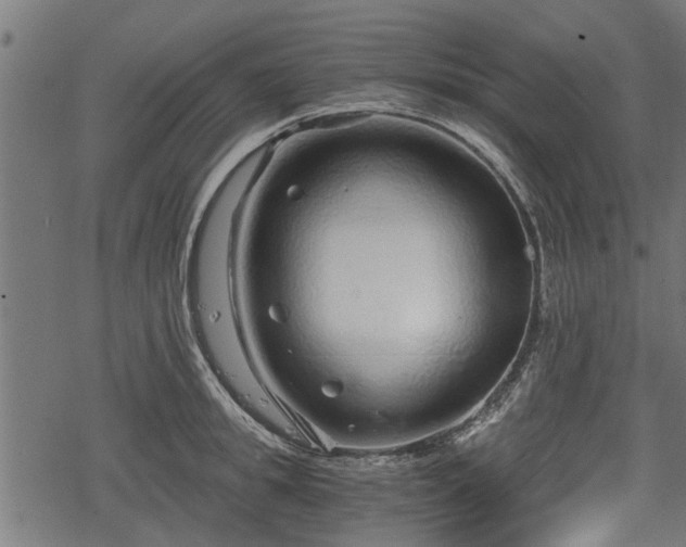 X0000068810949200605121247