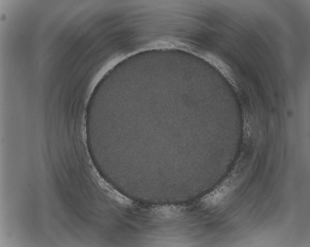 X0000068810950200605121247