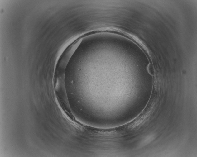 X0000068810951200605121247