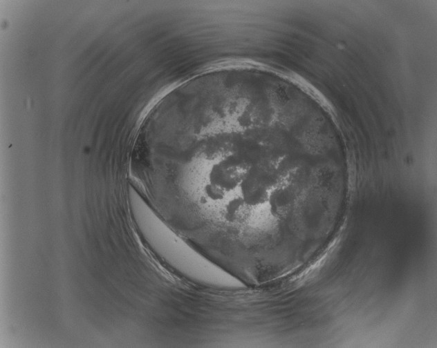 X0000068810953200605121247