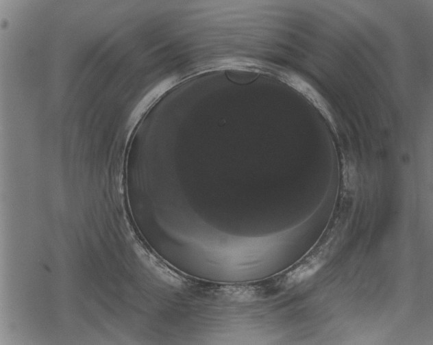 X0000068810954200605121247