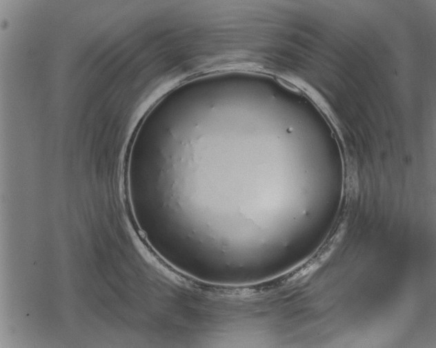 X0000068810957200605121247