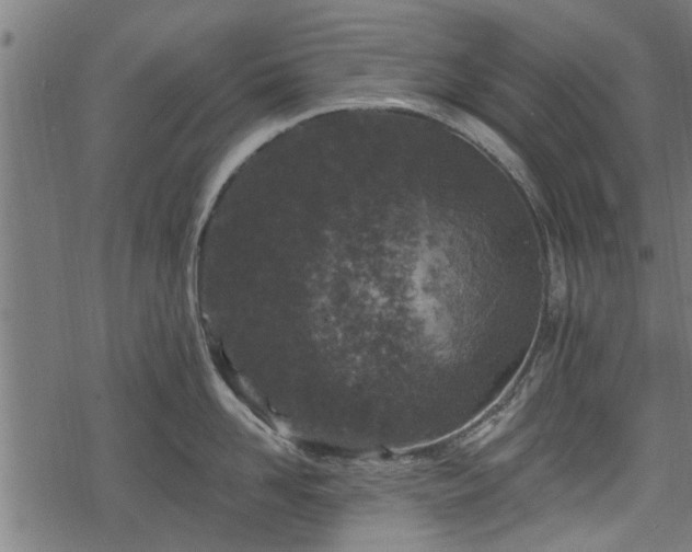 X0000068810958200605121247