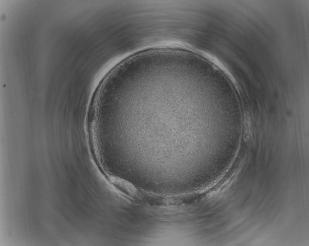 X0000068810959200605121247