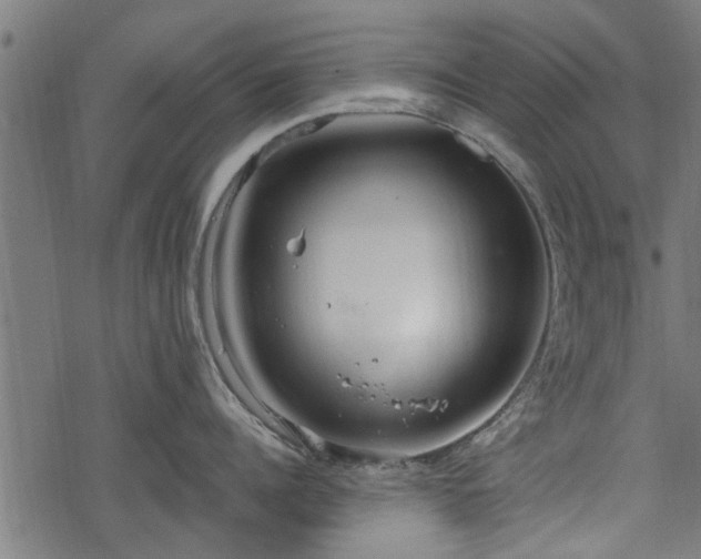 X0000068810960200605121247