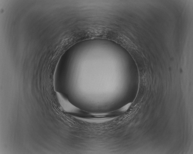 X0000068810961200605121246