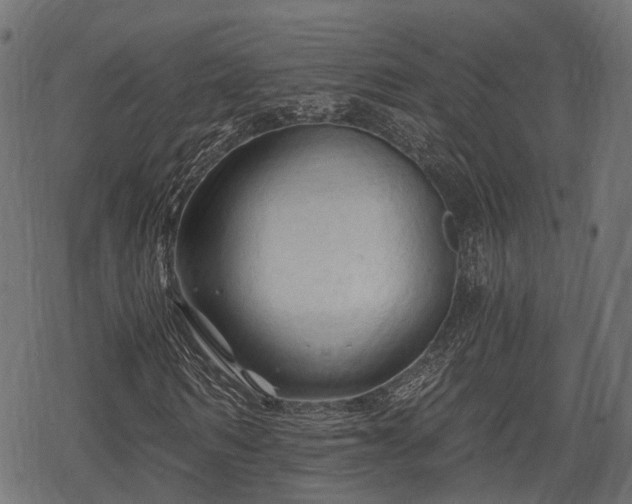 X0000068810962200605121246