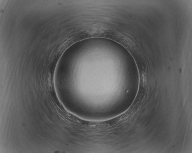 X0000068810963200605121246