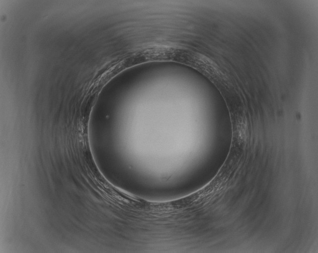 X0000068810964200605121246