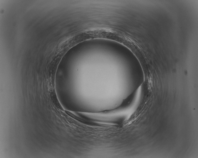 X0000068810965200605121246