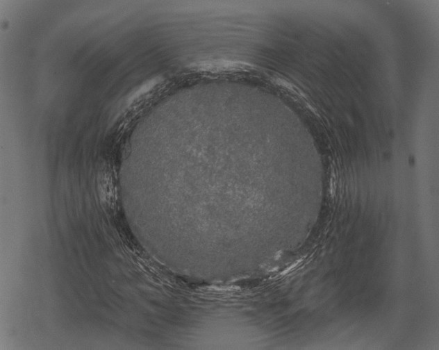 X0000068810966200605121246