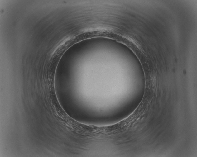 X0000068810967200605121246