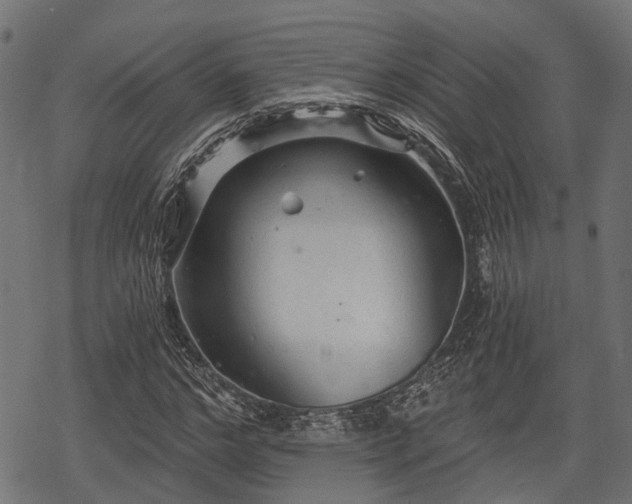 X0000068810968200605121246