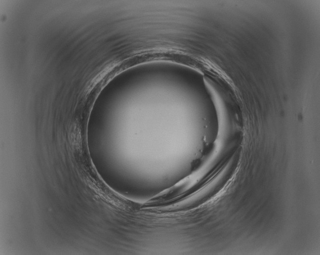 X0000068810969200605121246