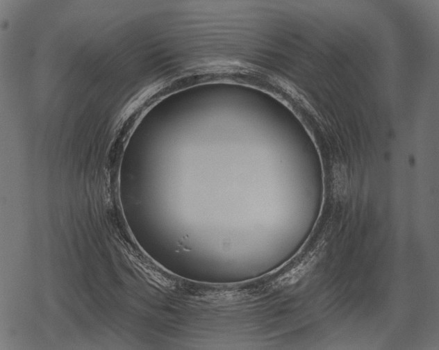 X0000068810970200605121246