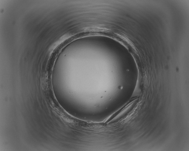 X0000068810971200605121246