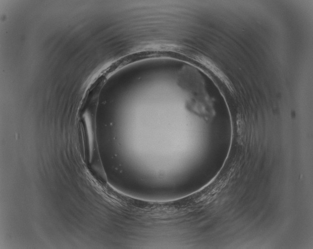 X0000068810972200605121246