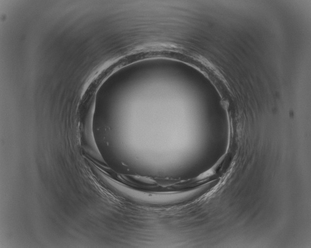 X0000068810973200605121246