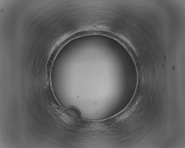 X0000068810974200605121246