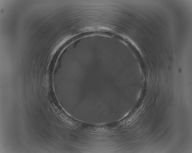 X0000068810975200605121246