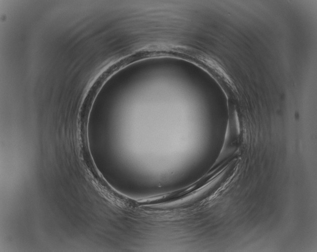 X0000068810976200605121246