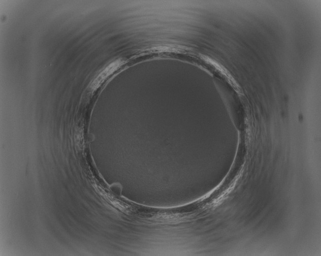 X0000068810977200605121246