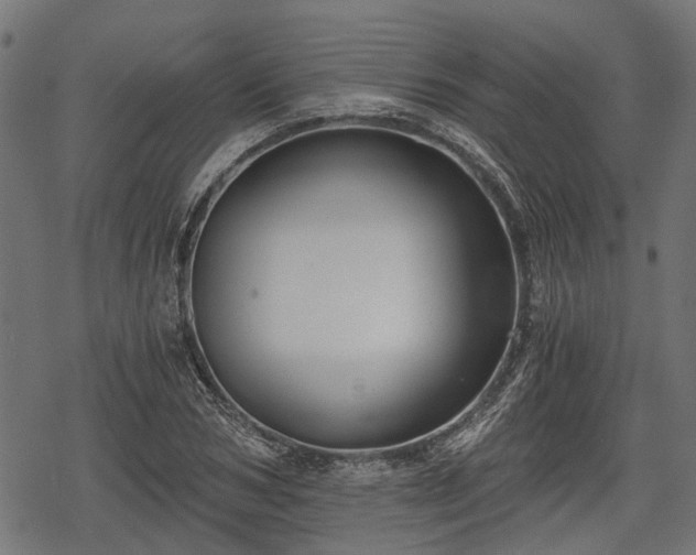 X0000068810978200605121246