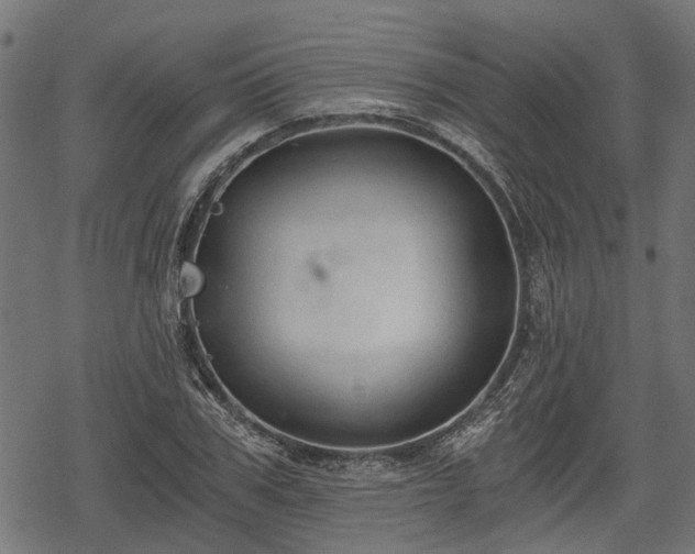 X0000068810979200605121246