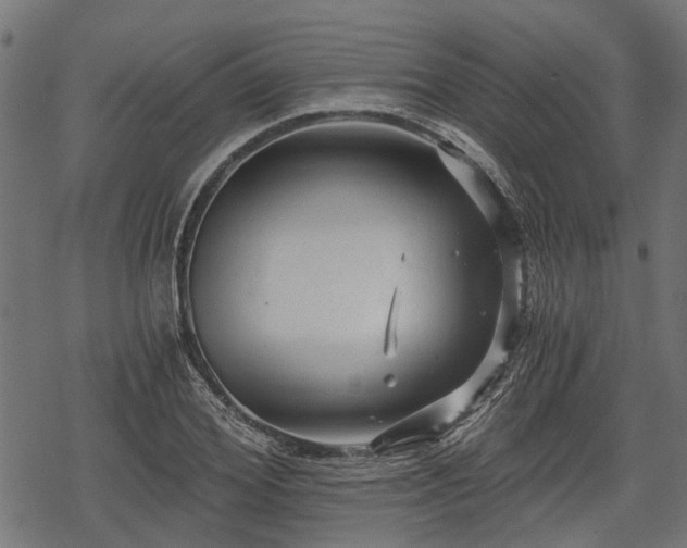 X0000068810980200605121246