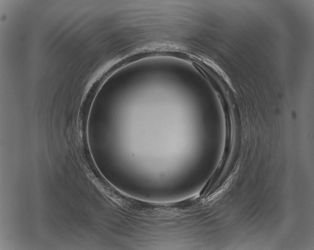 X0000068810981200605121246