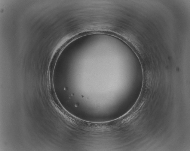 X0000068810982200605121246