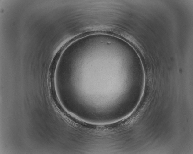 X0000068810983200605121246