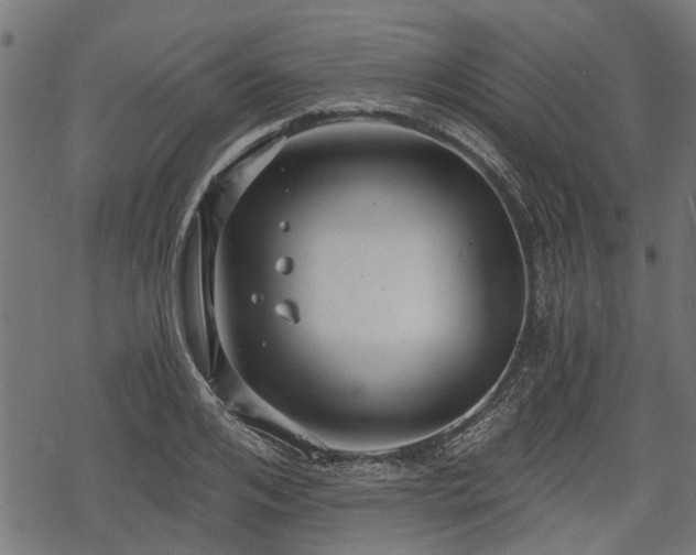 X0000068810984200605121246