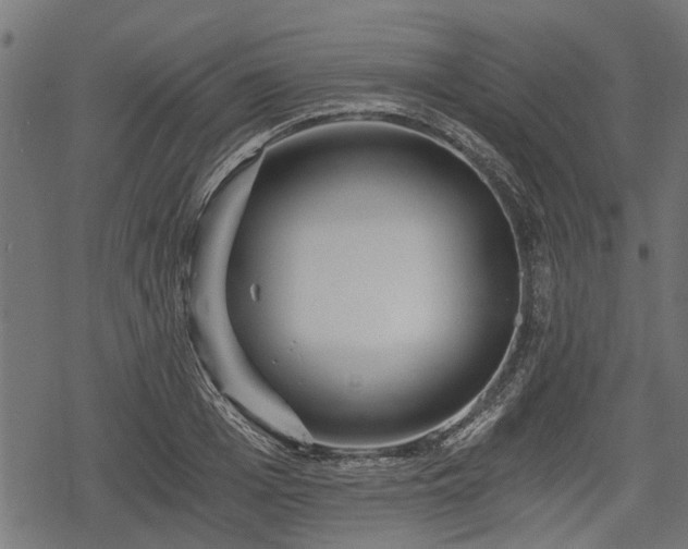 X0000068810985200605121246