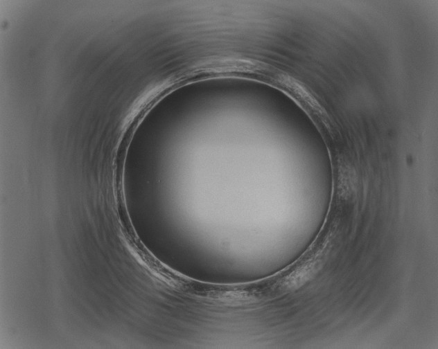 X0000068810986200605121246