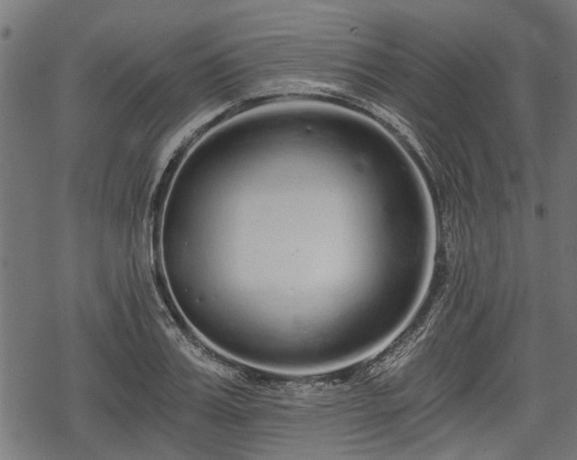 X0000068810987200605121246