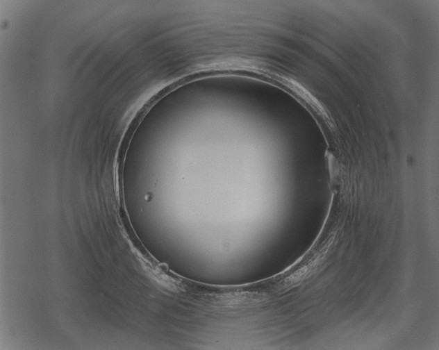 X0000068810988200605121246