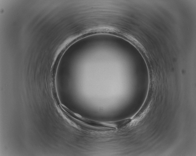 X0000068810989200605121246