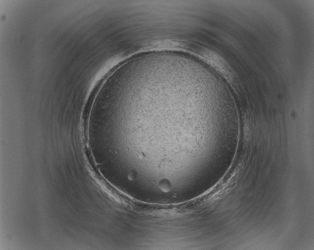 X0000068810990200605121246