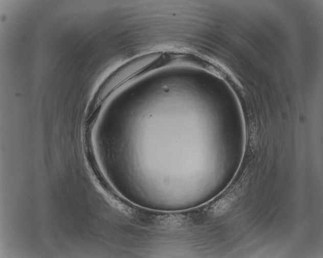 X0000068810991200605121246