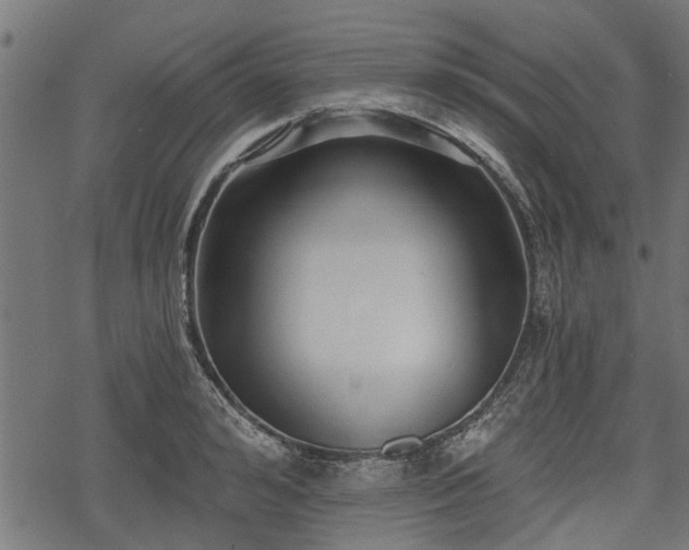 X0000068810992200605121246