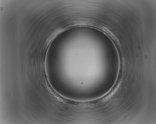 X0000068810993200605121246