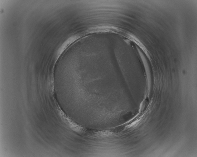 X0000068810994200605121246