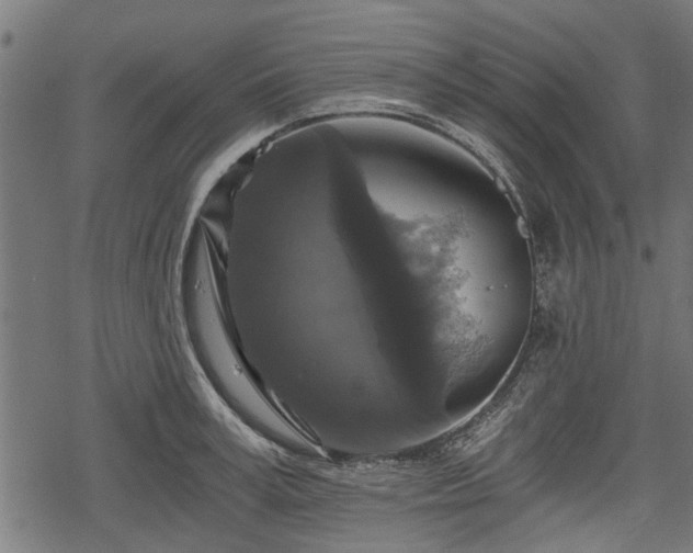 X0000068810995200605121245