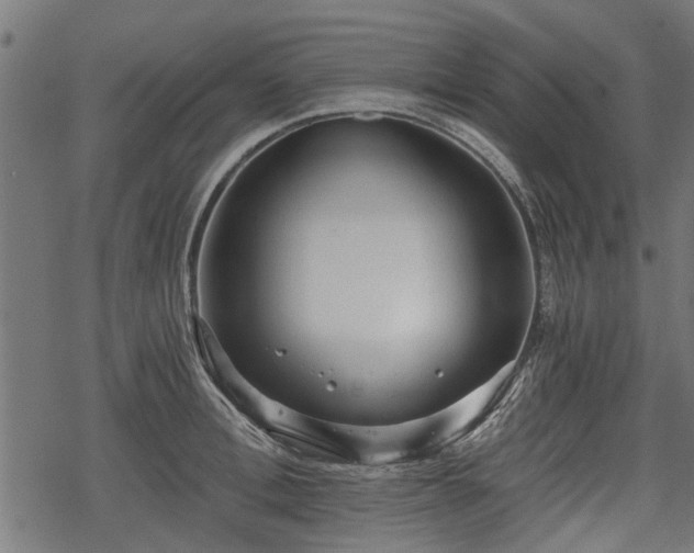 X0000068810996200605121245