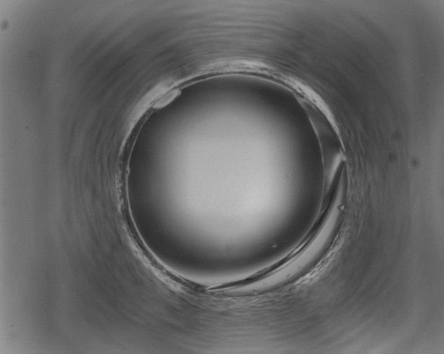 X0000068810997200605121245