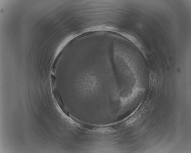 X0000068810998200605121245