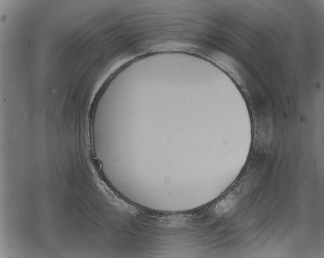 X0000068811000200605121245